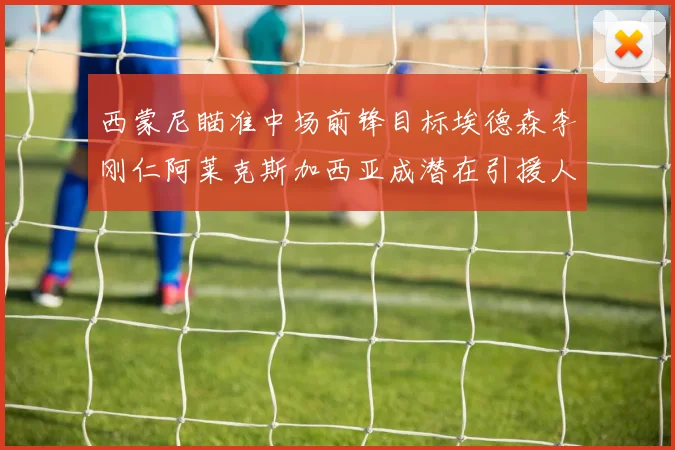 西蒙尼瞄准中场前锋目标埃德森李刚仁阿莱克斯加西亚成潜在引援人选